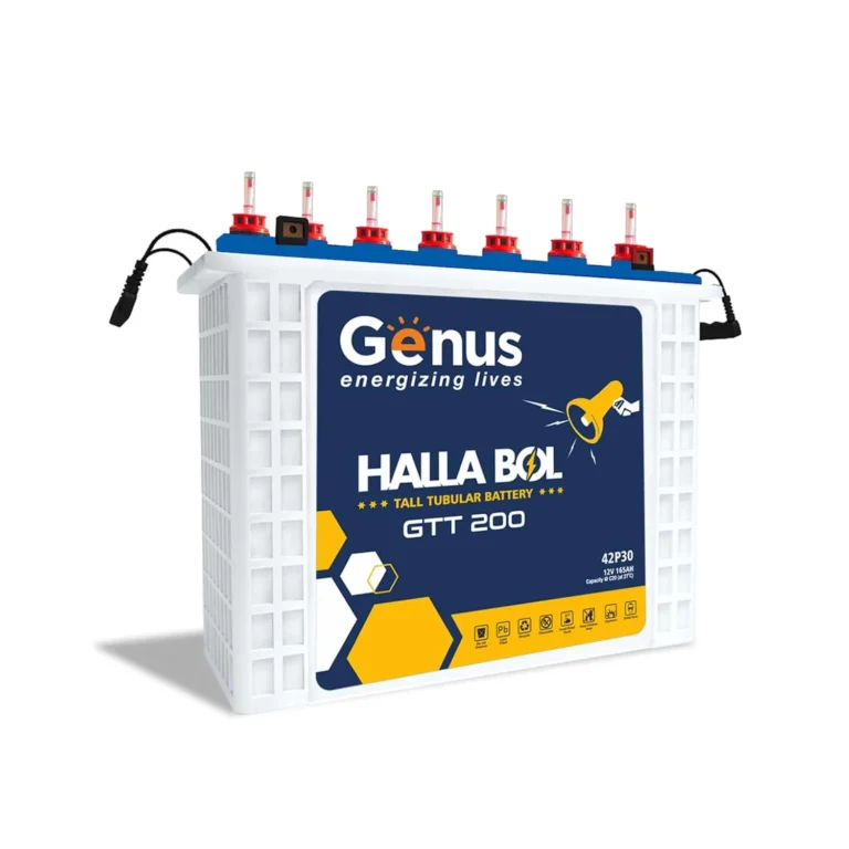 Genus inverter battery