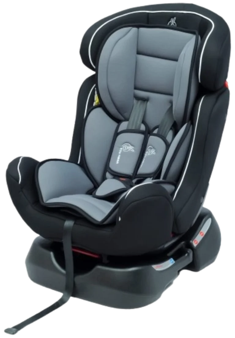 Perfect Baby Car Seat